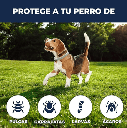 Collar Antipulgas-PerfectPet Ⓡ